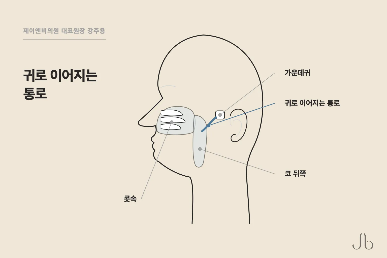 기압 차이로 귀가 먹먹해지는 통로는 코 뒤쪽에서 이어집니다 — 옆에서 본 단면