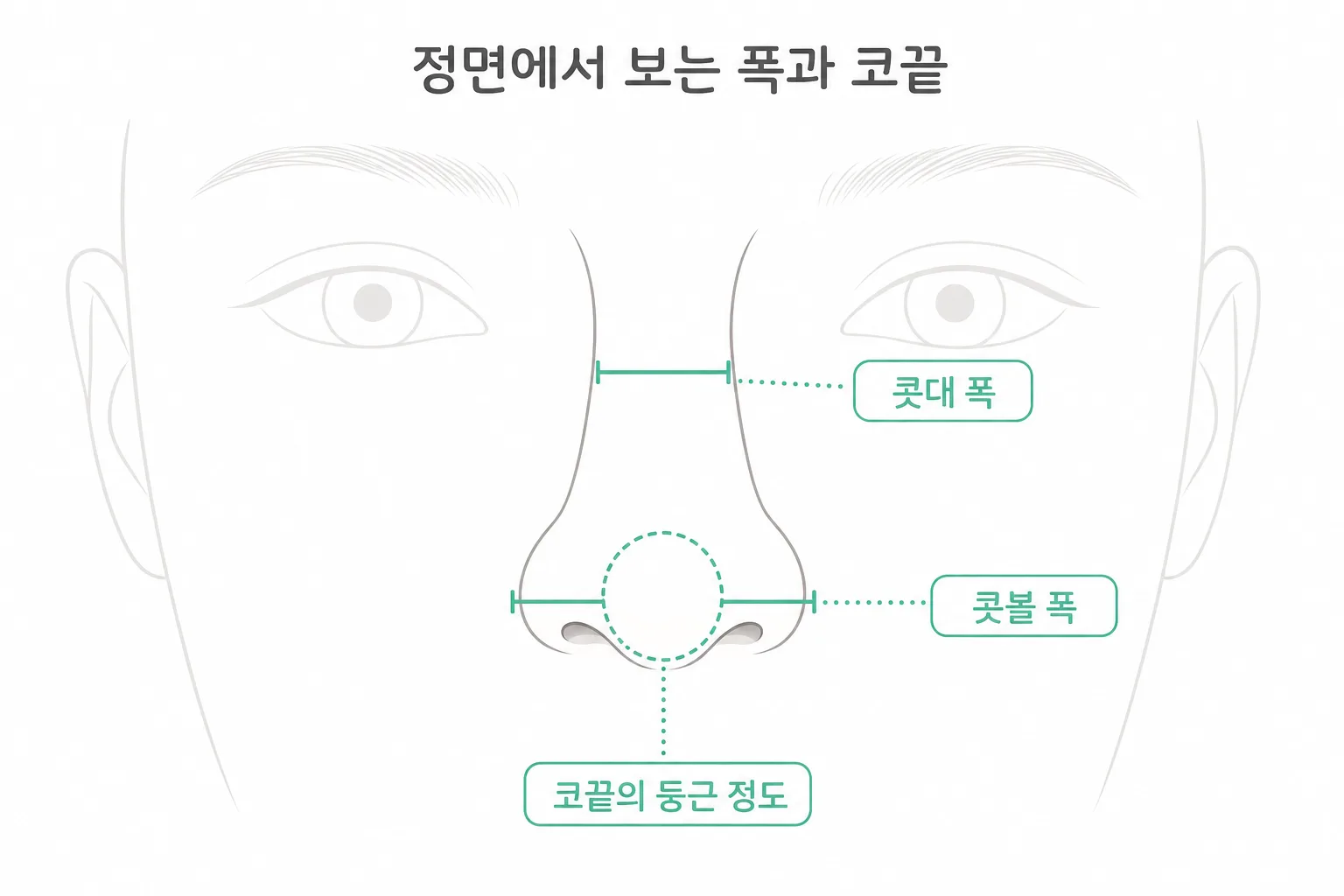 복코 인상은 정면의 폭에서 옵니다 — 콧대 폭과 콧볼 폭, 그리고 그 사이에 놓인 코끝의 둥근 정도