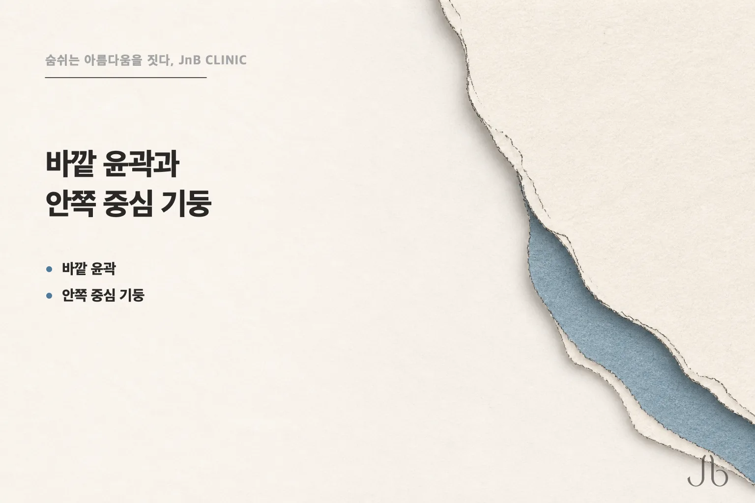 비중격만곡증 수술이 다루는 층을 갈라 놓은 도식 — 코의 바깥 윤곽과 안쪽 중심 기둥