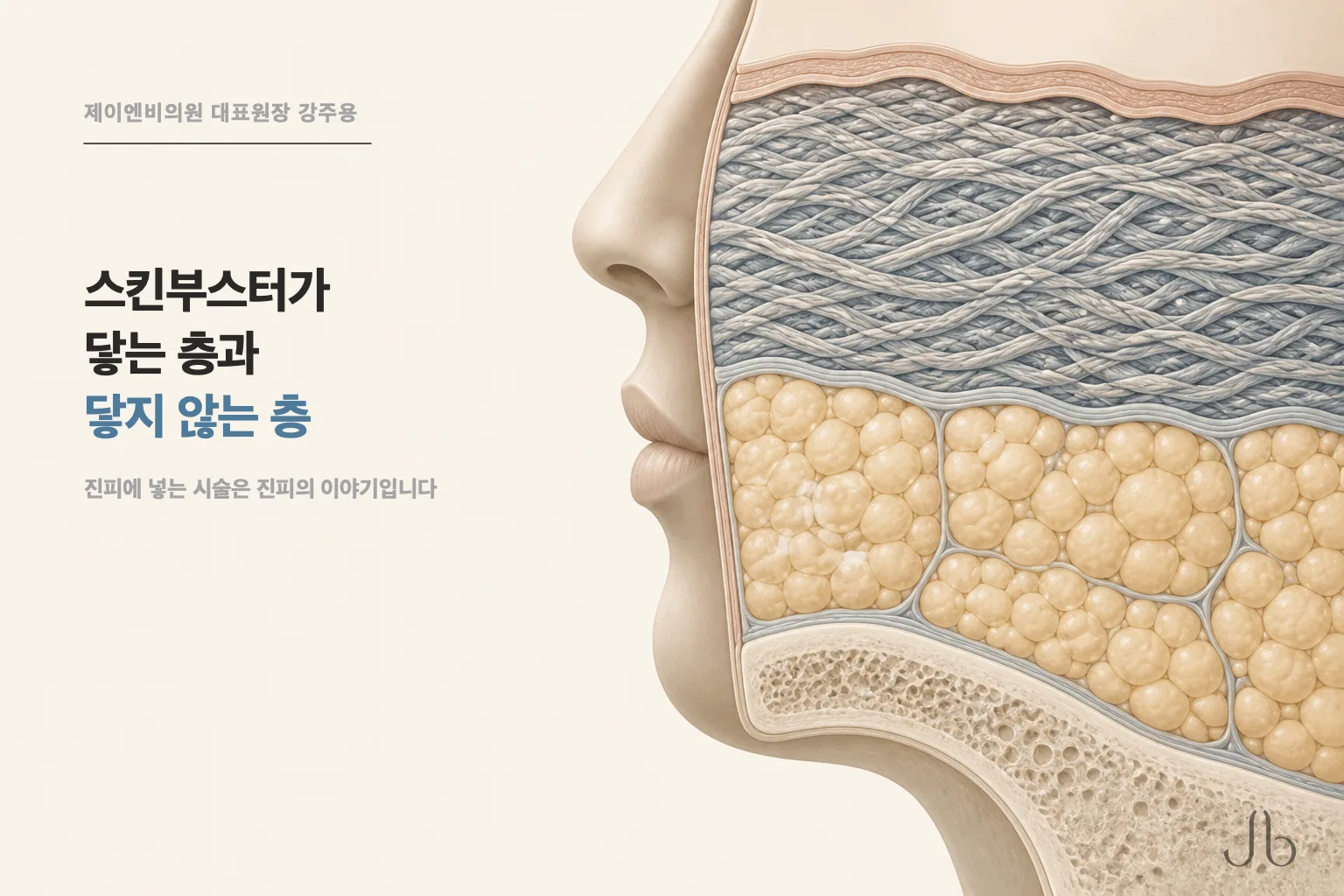 셀투오가 닿는 층과 닿지 않는 층을 정리한 피부 밸런스 표지