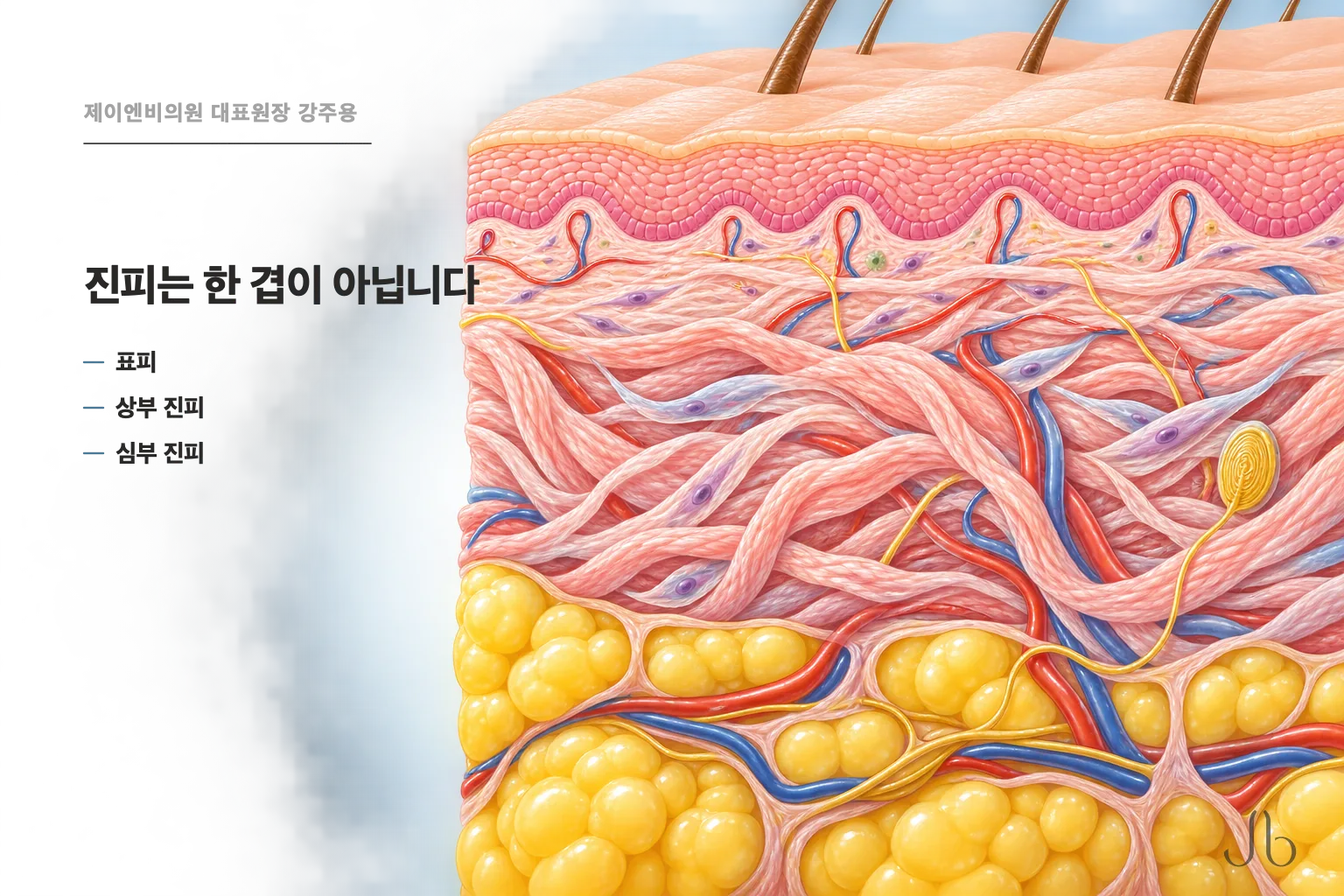 셀투오는 어느 깊이에 넣나요 — 같은 성분도 층으로 갈립니다