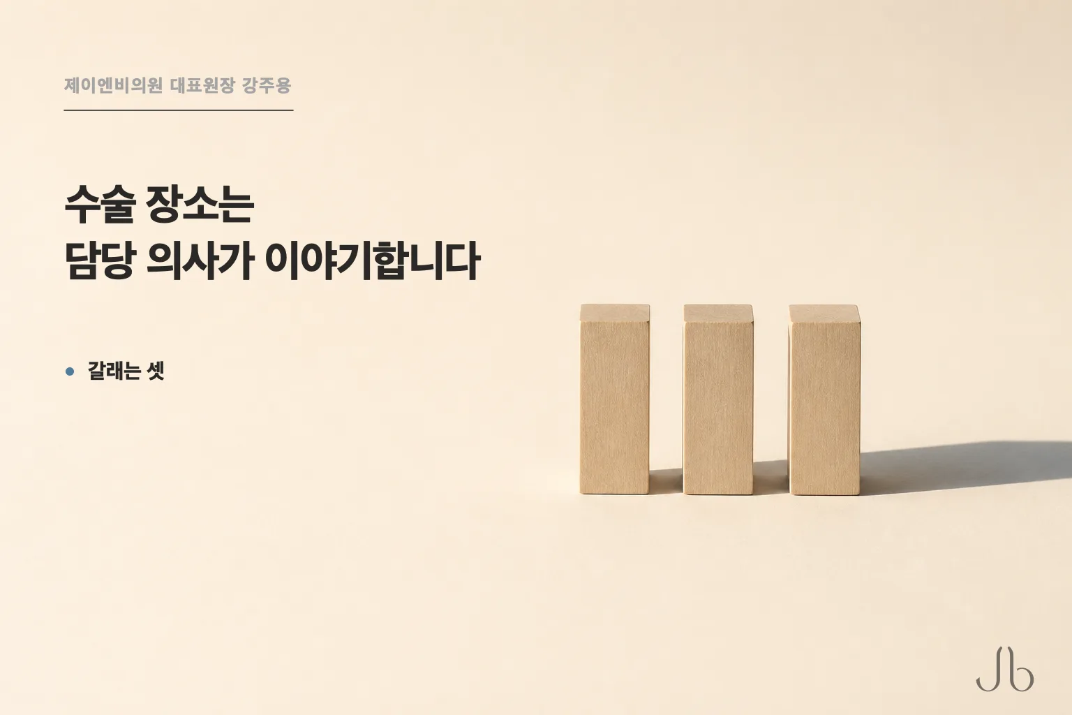 코성형 수술 장소는 담당 성형외과 의사가 이야기할 것이라고 적혀 있고, 갈래는 셋입니다