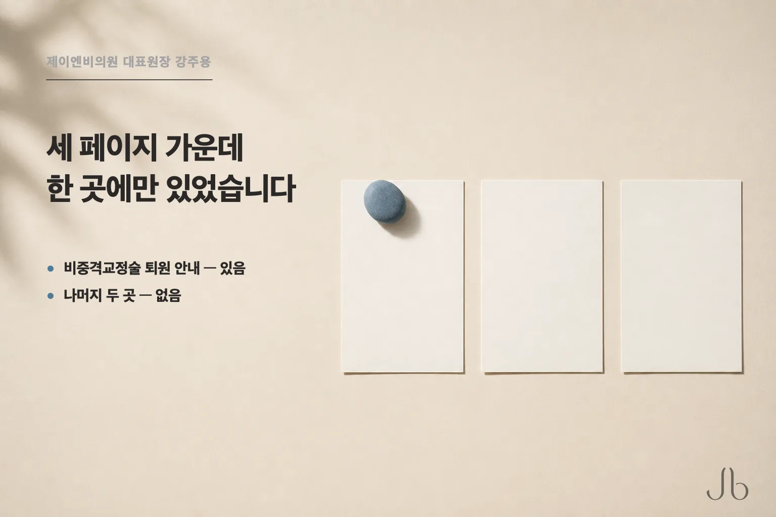 세 페이지 가운데 자는 자세·베개를 적은 곳은 비중격교정술 퇴원 안내 하나 — 나머지 두 곳에는 그 줄이 없었습니다