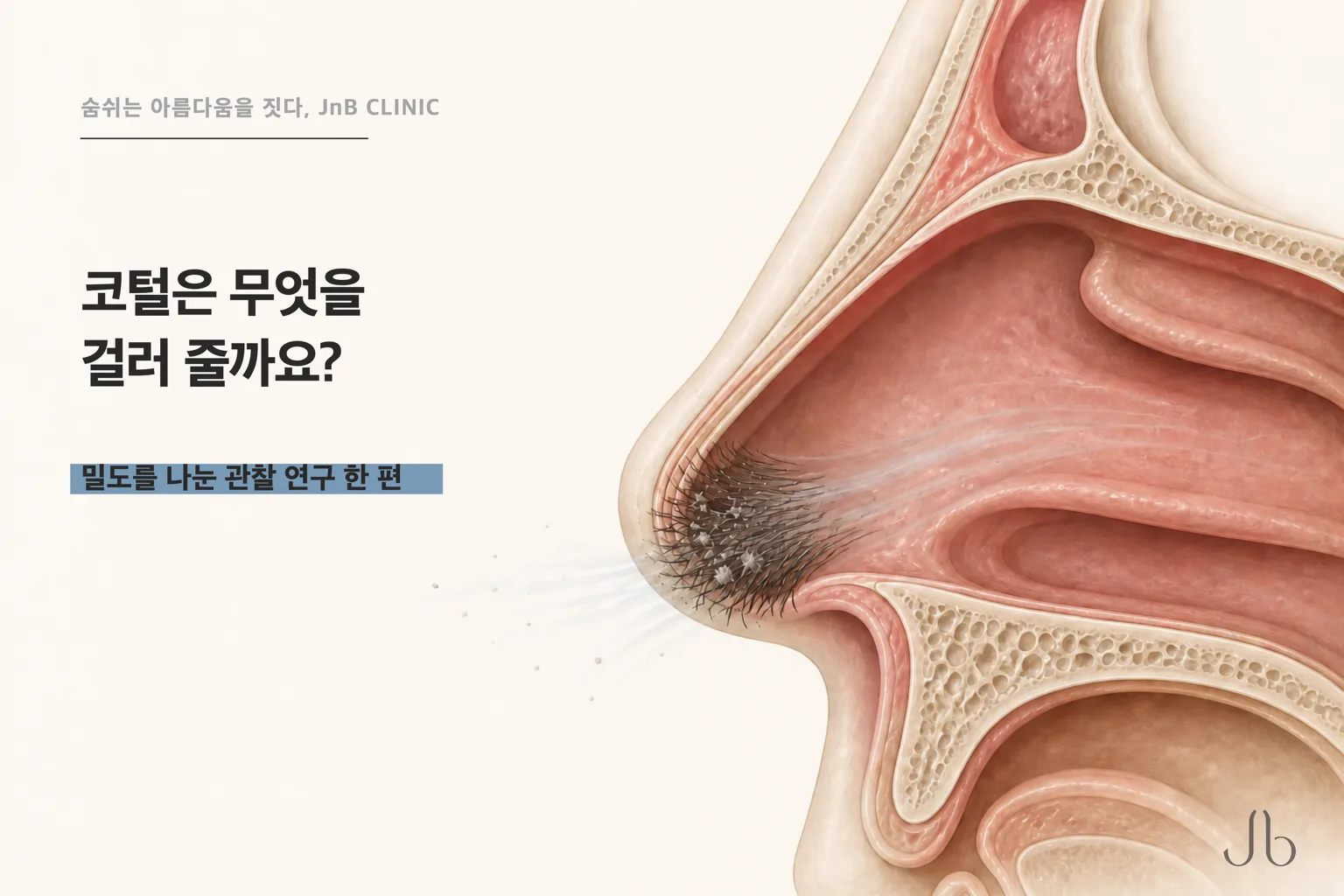 코털은 무엇을 걸러 줄까요? 밀도를 나눠 본 연구가 있습니다