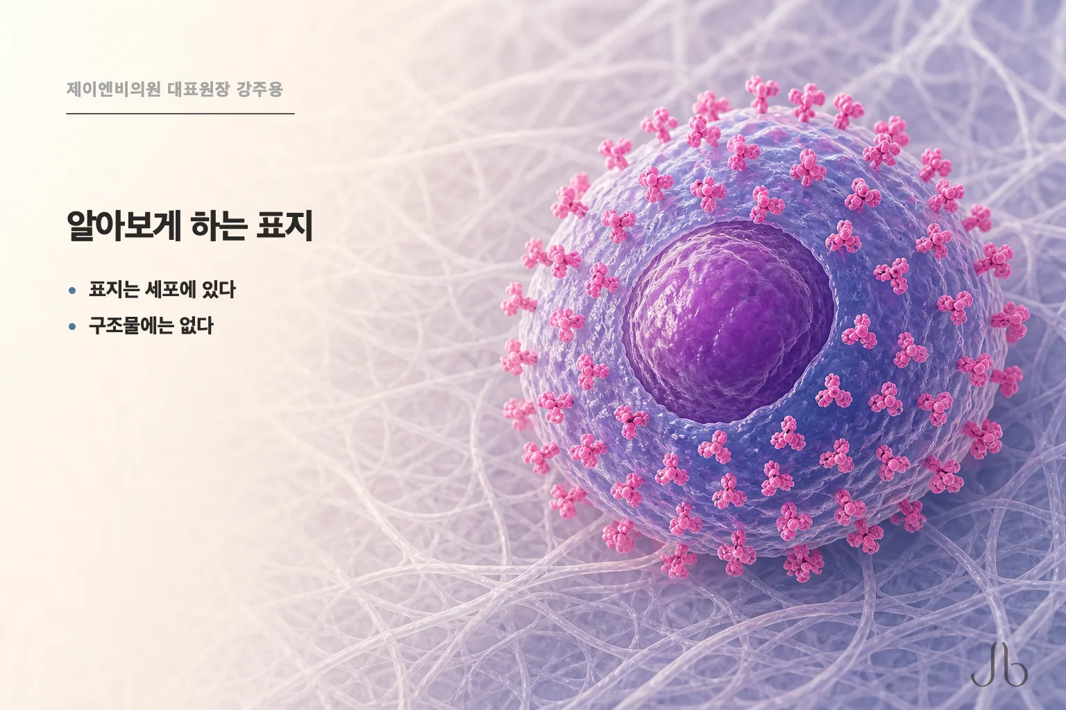 리투오는 인체조직 유래인데 거부 반응은 없나요