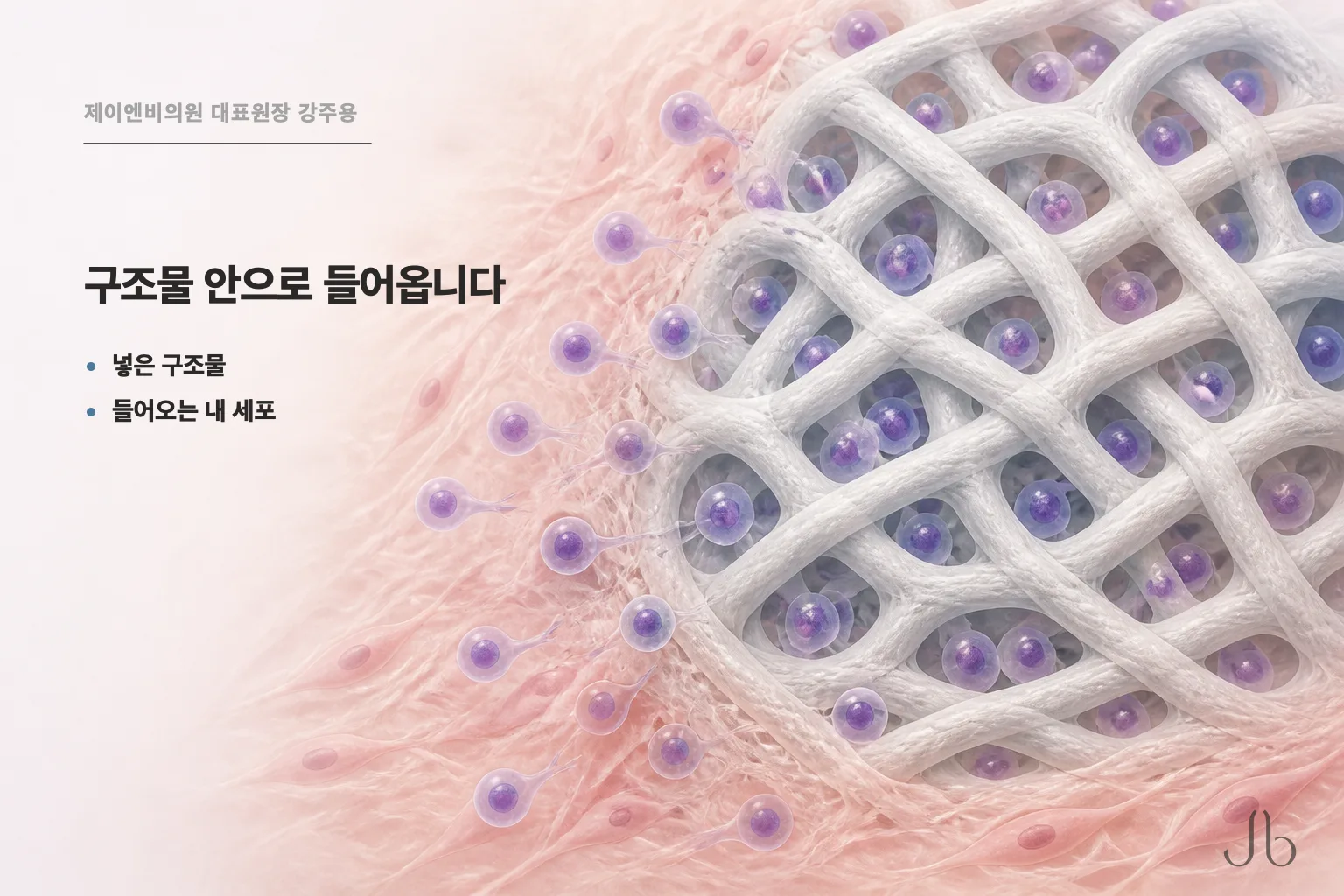 셀투오로 넣은 성분이 자리 잡는다는 건 무슨 뜻인가요